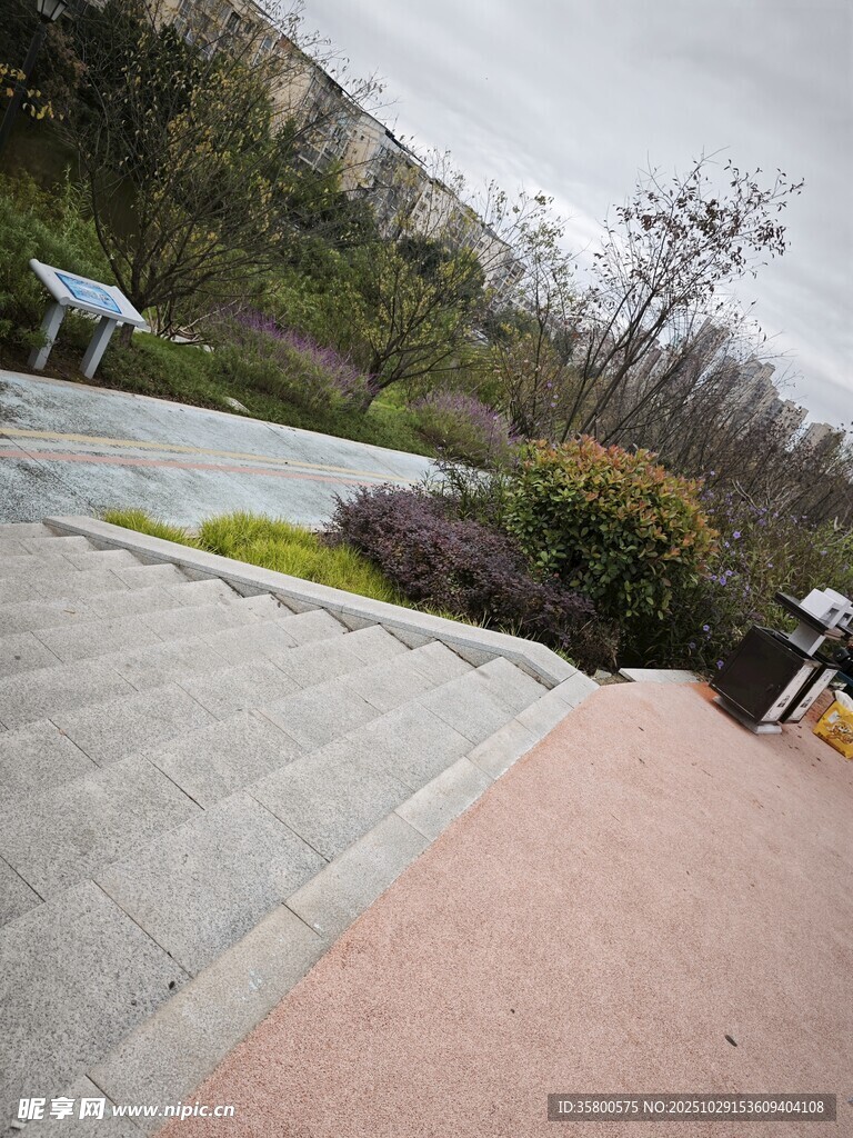 城市公园中的步道景观