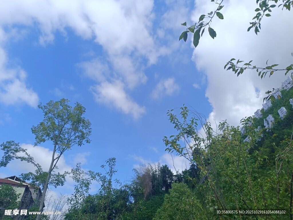 蓝天白云下的山林景致