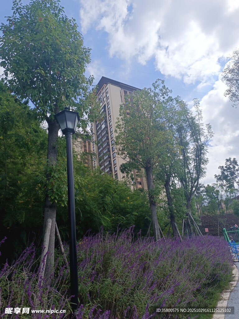 花园旁的建筑与繁茂植被