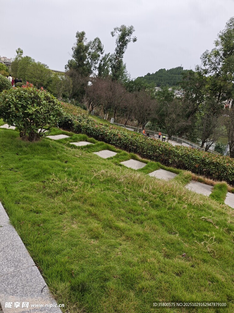 绿意盎然的户外步道景观