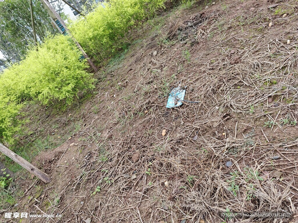 地面枯枝旁的蓝色物品