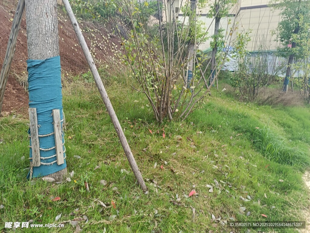 户外草地旁的蓝色柱状物