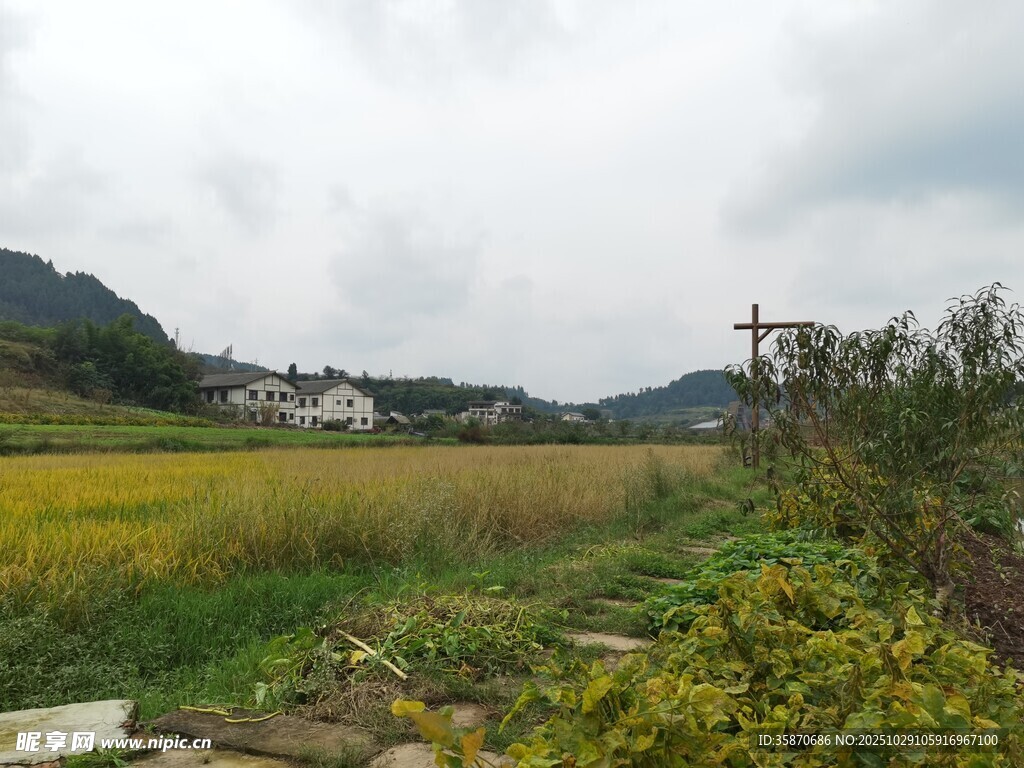 乡村田野风光景色