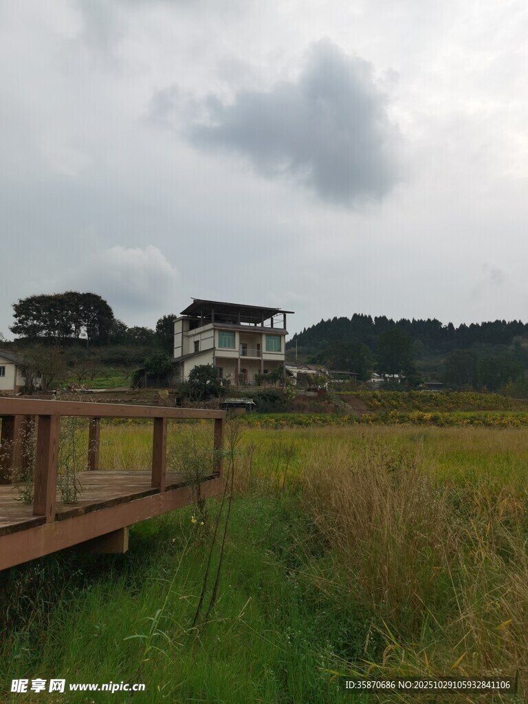 田园木栈道旁的静谧景致