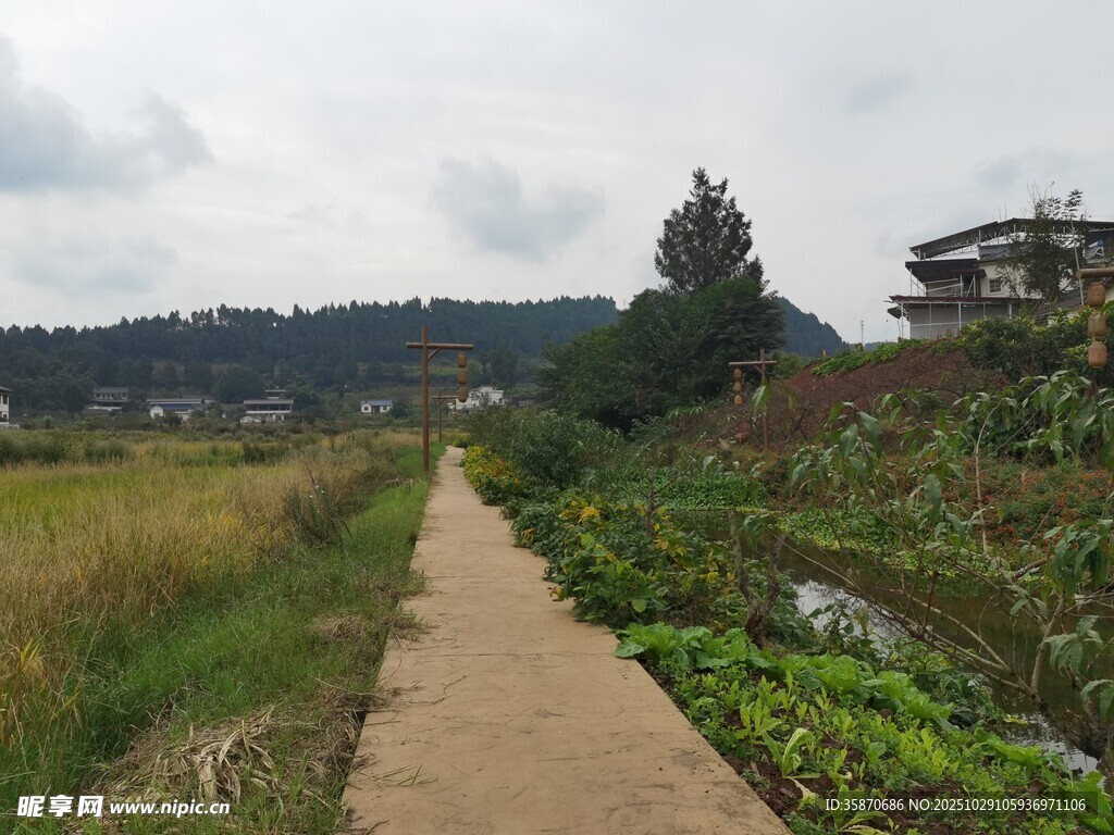 乡间小径田园风光美景