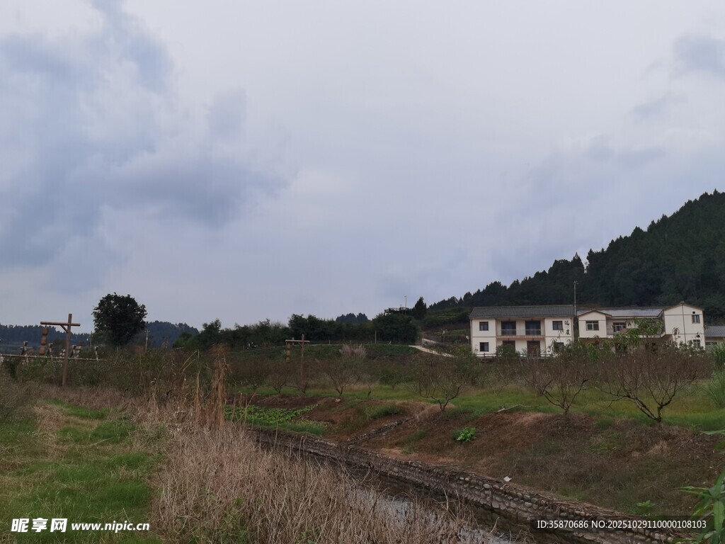 乡村河畔的宁静民居