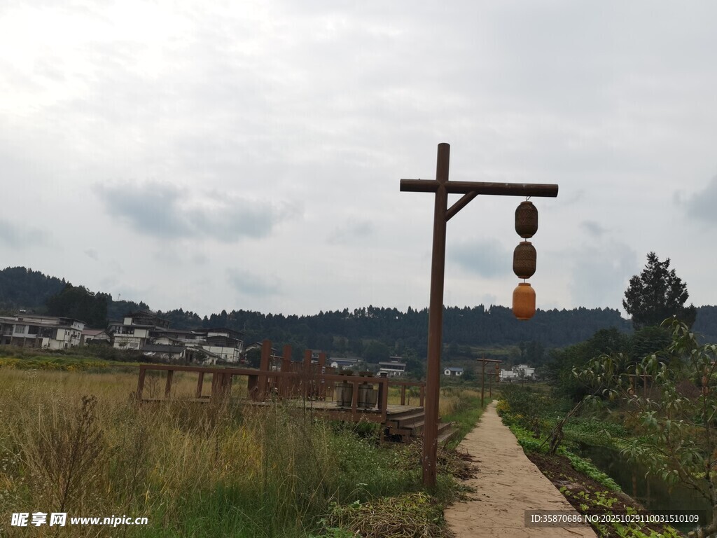 乡村小径旁的风铃木架