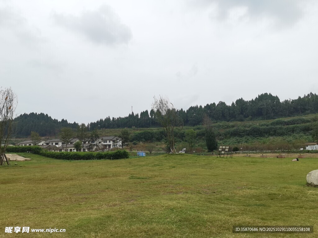 郊外开阔草地与远处山林