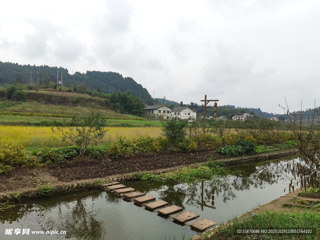乡村田园中的水上木栈道
