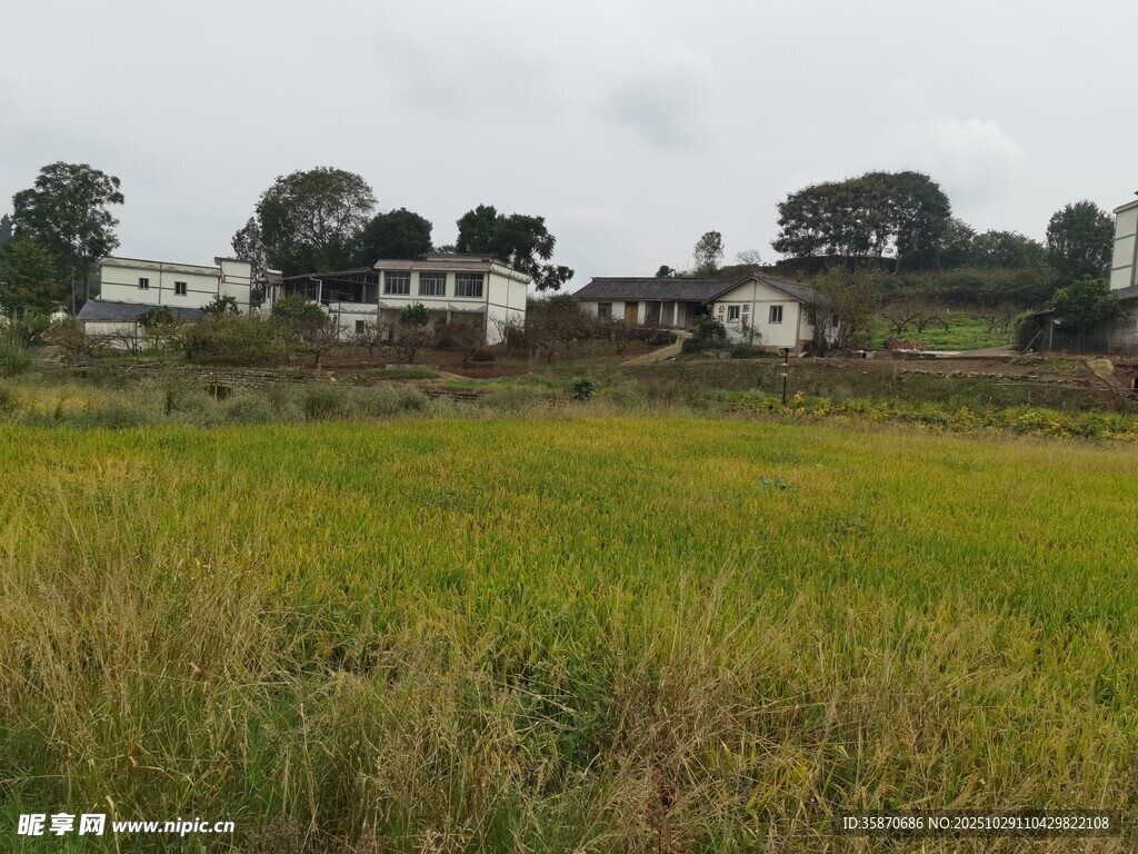田野边的村落风光