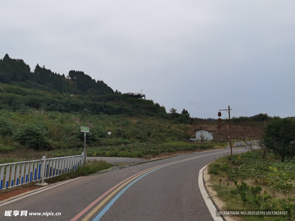 蜿蜒公路旁的绿意景致