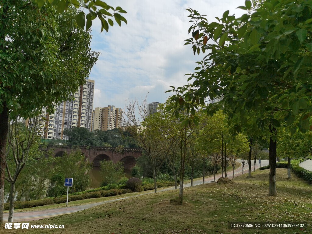 城市公园林荫步道景观