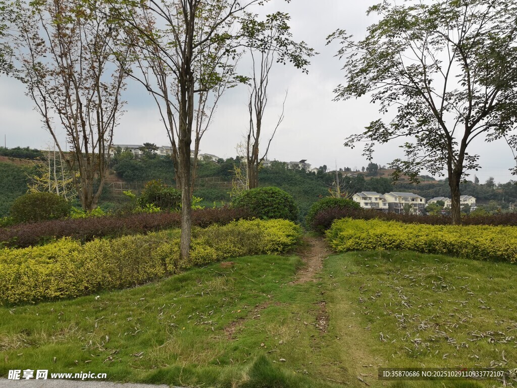田园小径旁的多彩植物景观