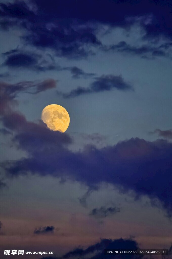 夜空下的金黄圆月