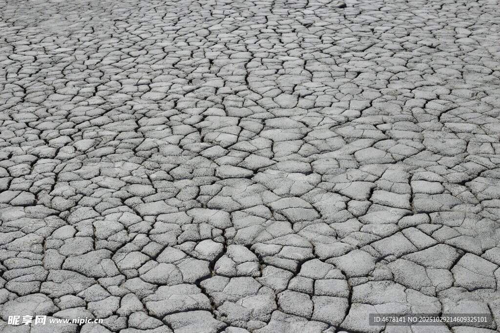干裂土地景象