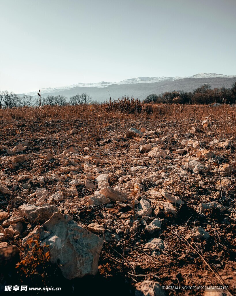 荒芜田野尽显自然原始风貌