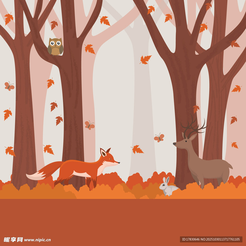 秋日森林中的动物景象