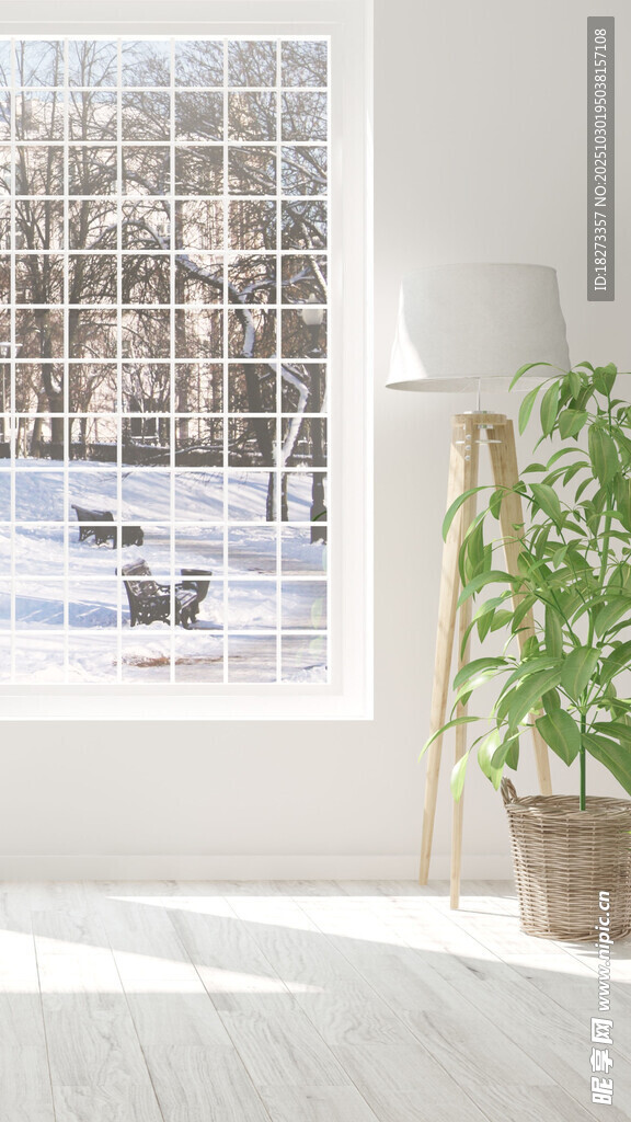 简约室内窗边绿植景观