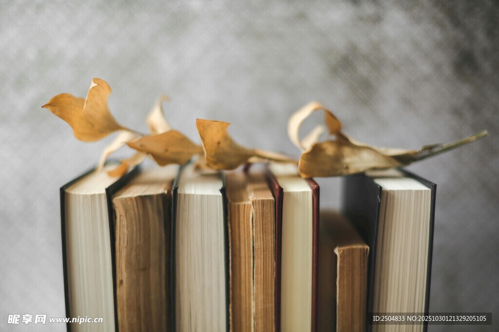 书籍上的金色叶片装饰