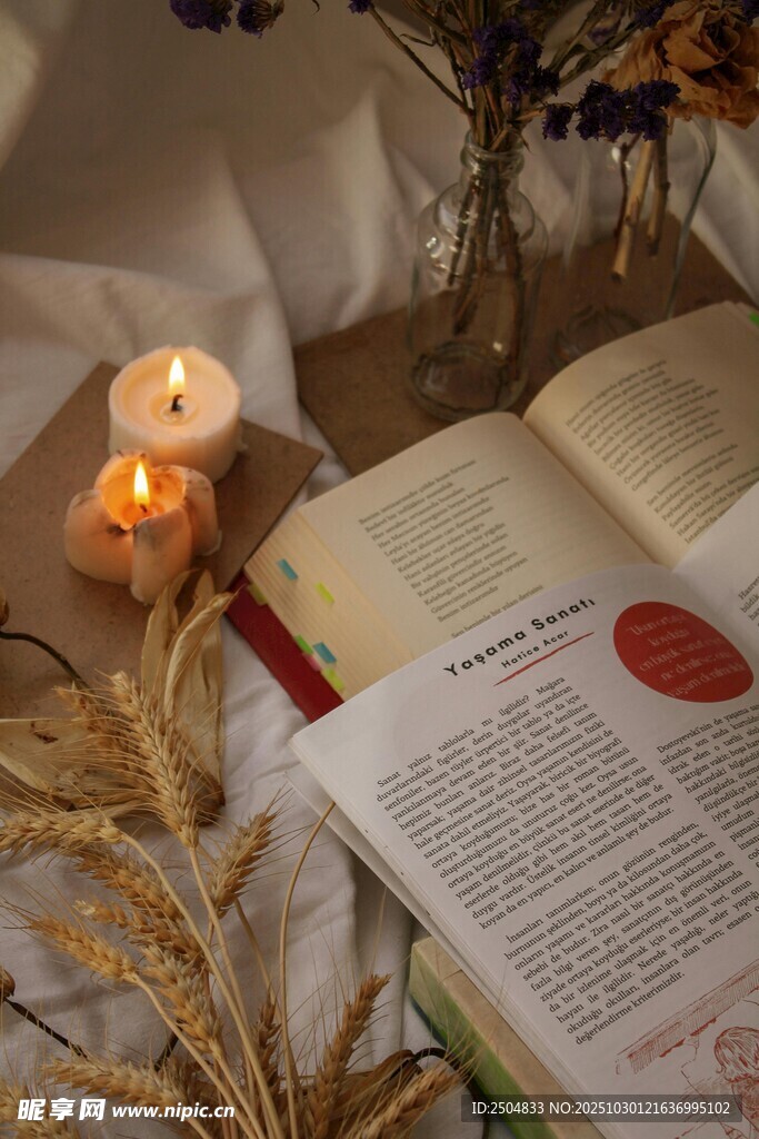 烛光下的阅读时光