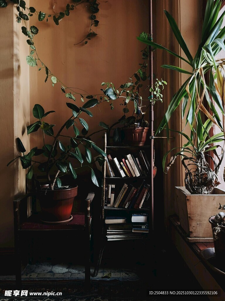 室内绿植环绕的静谧角落