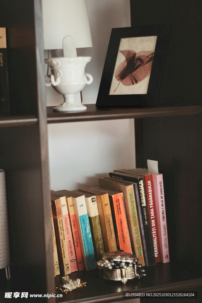 书架一角的温馨阅读氛围