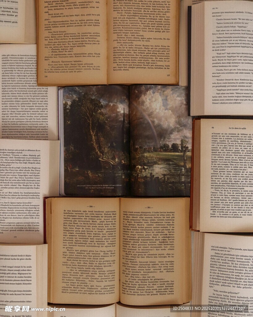 书籍中的奇幻景象