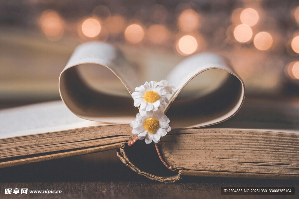 书页上的精致小花蝴蝶结
