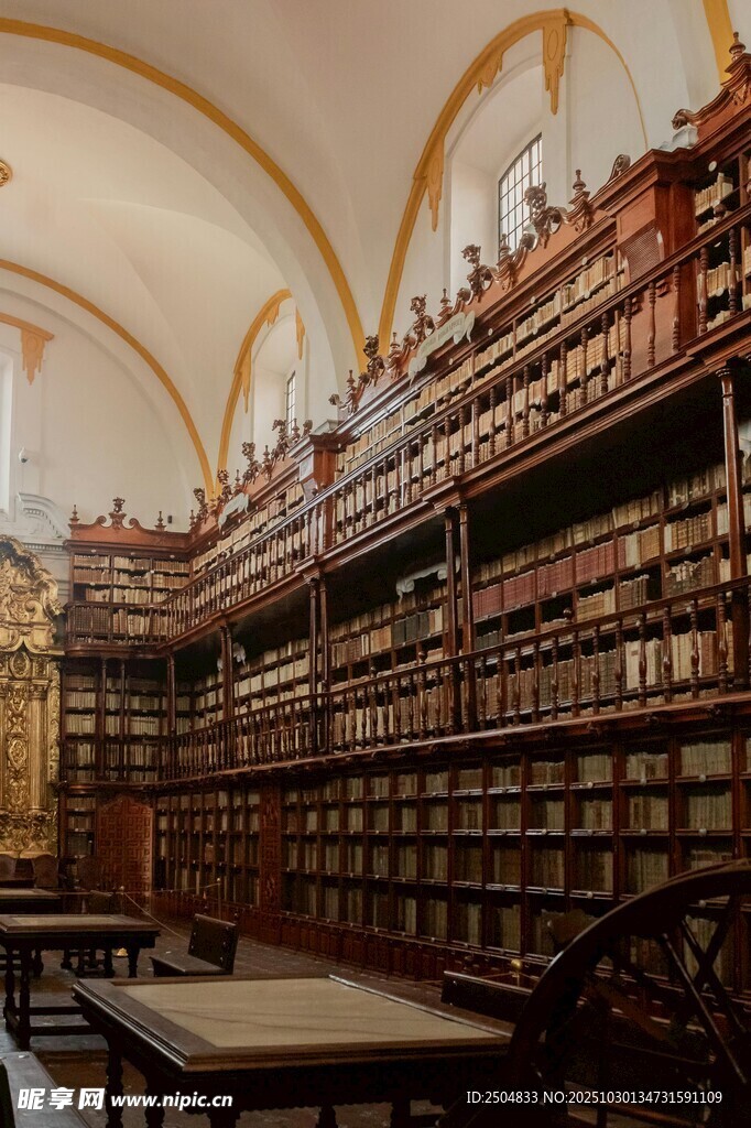 古典图书馆内景