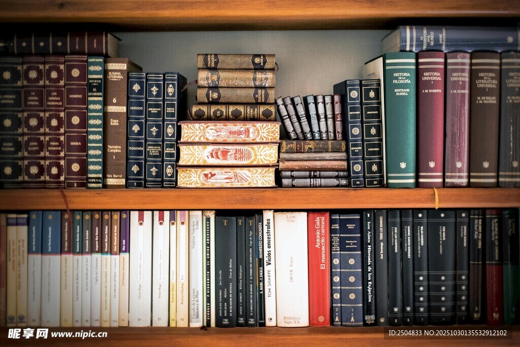 书架上的多彩书籍