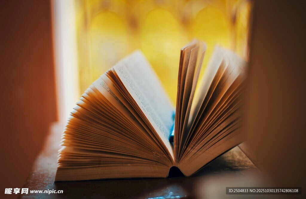 翻开的书展现知识世界