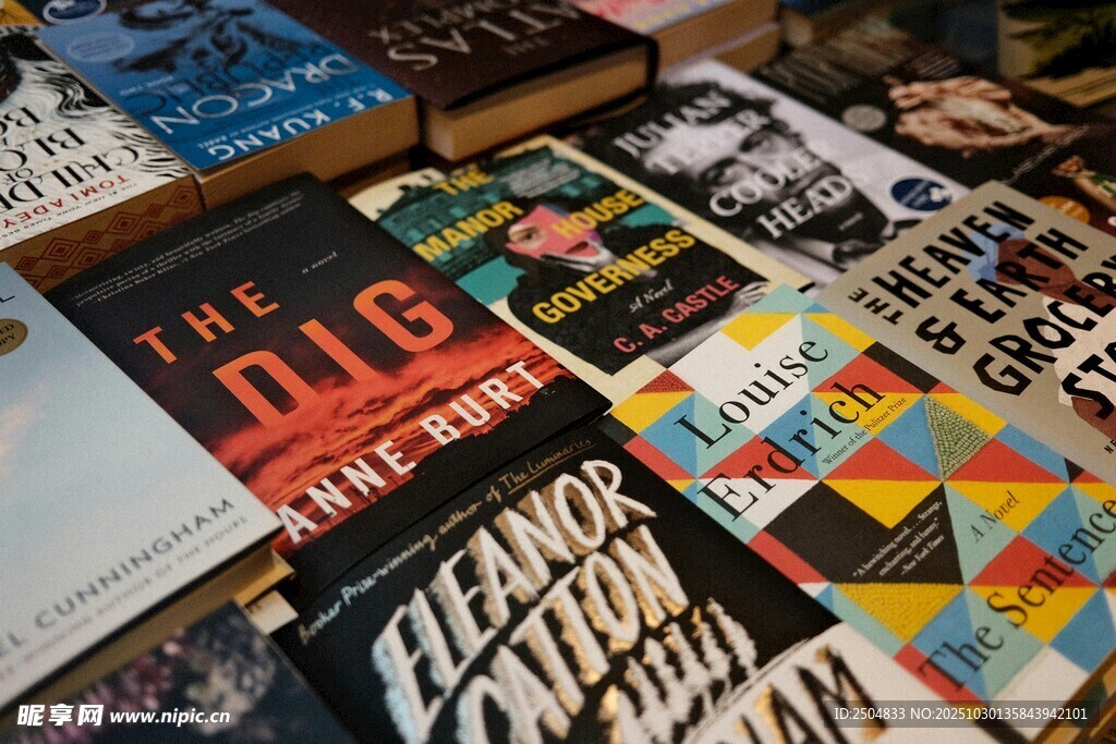 多样书籍展示 知识的盛宴