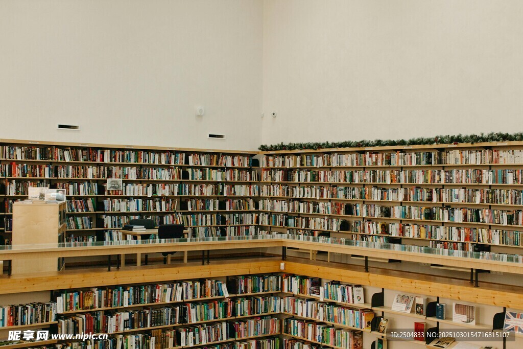 图书馆内壮观的书架景象