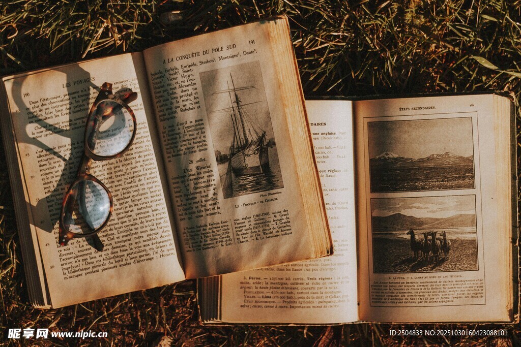 旧书页上的复古眼镜与植物