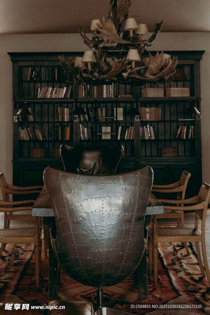 古典书房中的奢华座椅