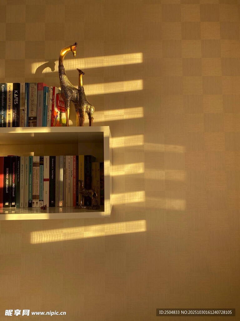 书架光影营造温馨角落