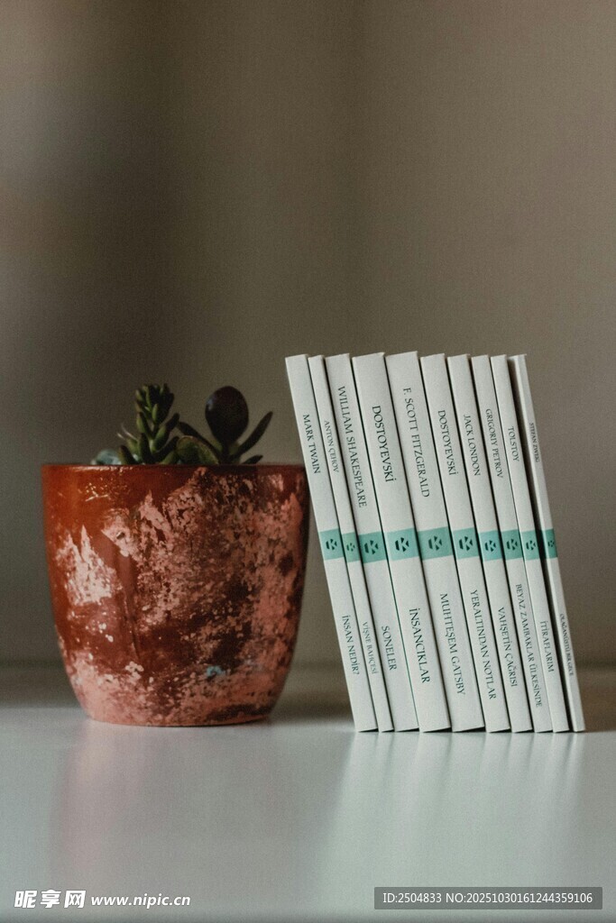 陶罐旁的书籍与绿植