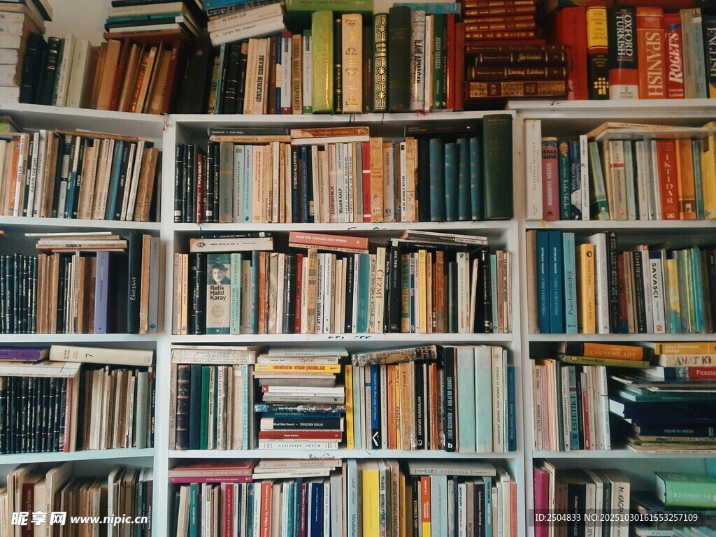 满架书籍的静谧书房角落