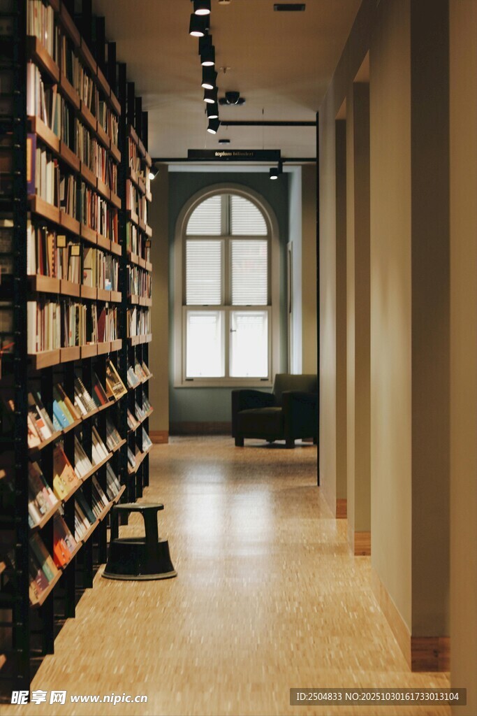 静谧图书馆内的知识长廊