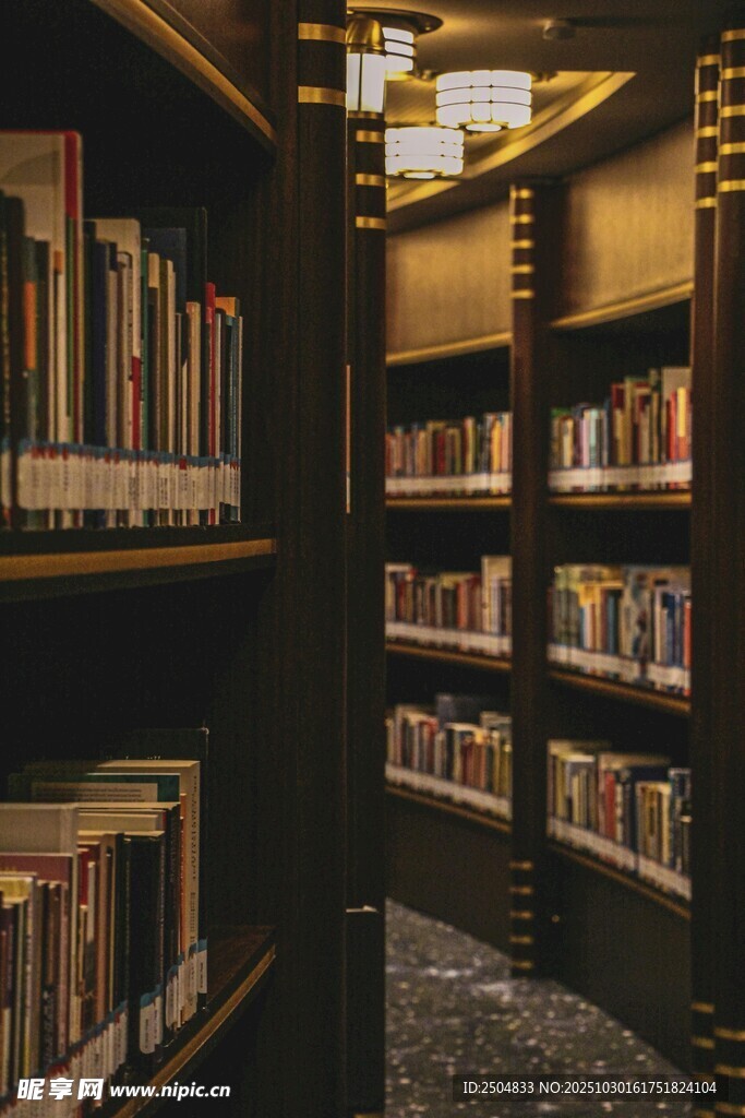静谧图书馆内的书架景象
