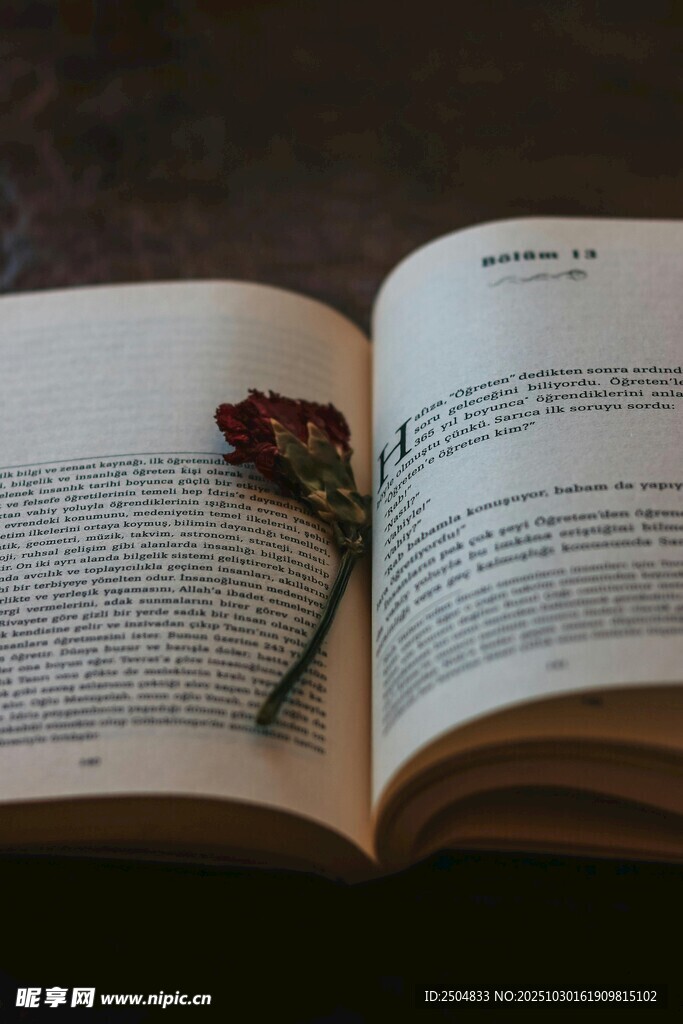 书页间的干花诗意瞬间