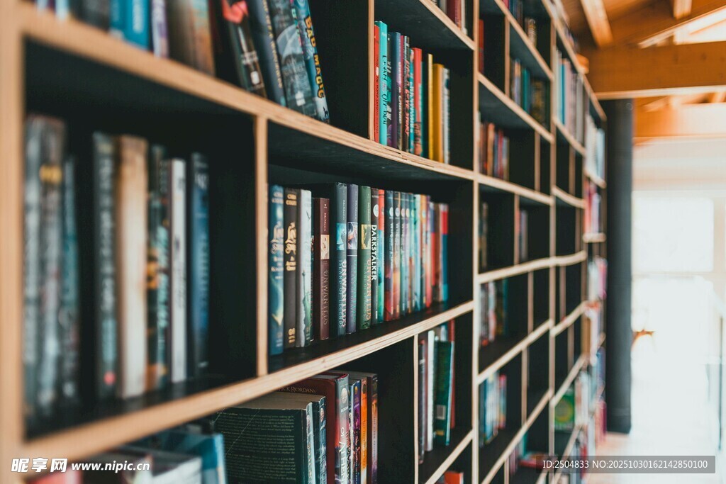 图书馆内整齐排列的书架