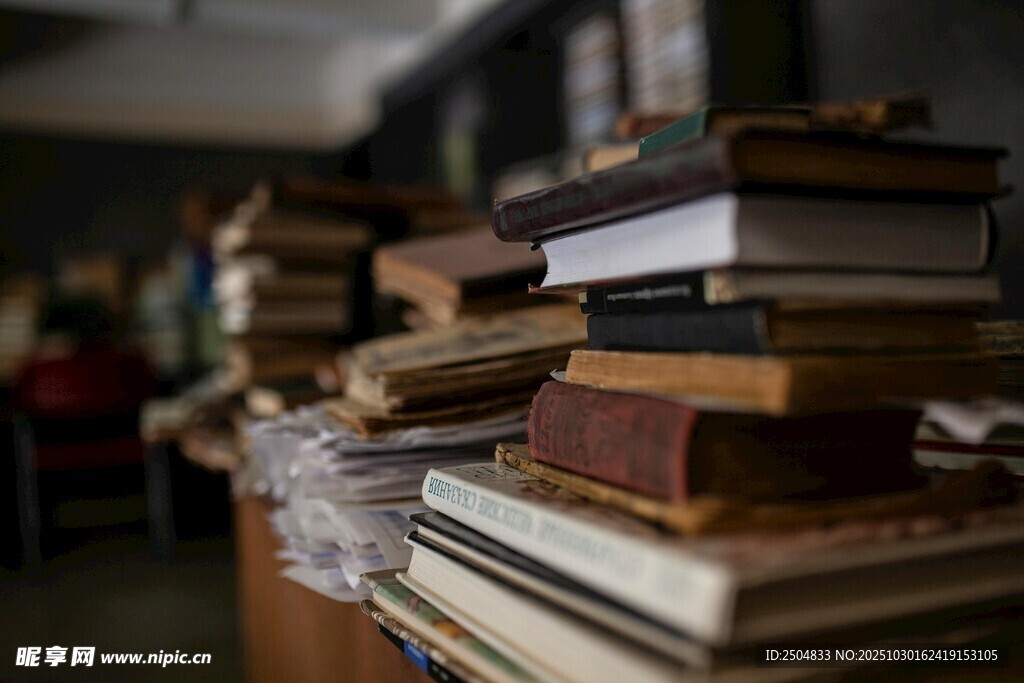 书堆中的静谧角落