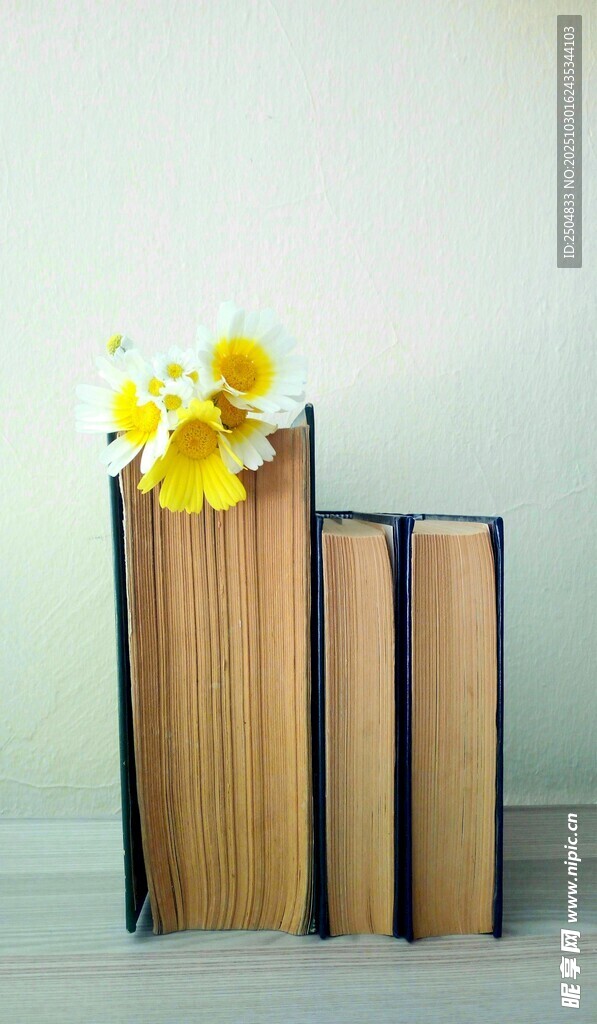 书籍上绽放的黄色小花