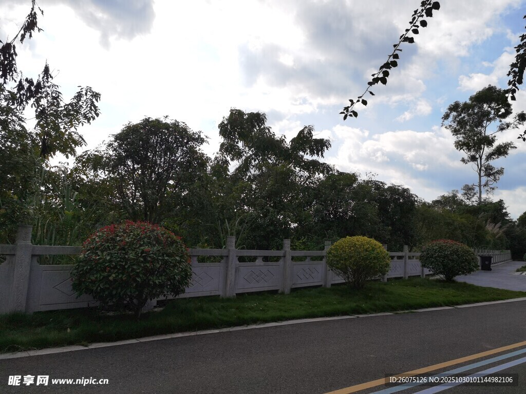 道路旁的绿植与围墙景观