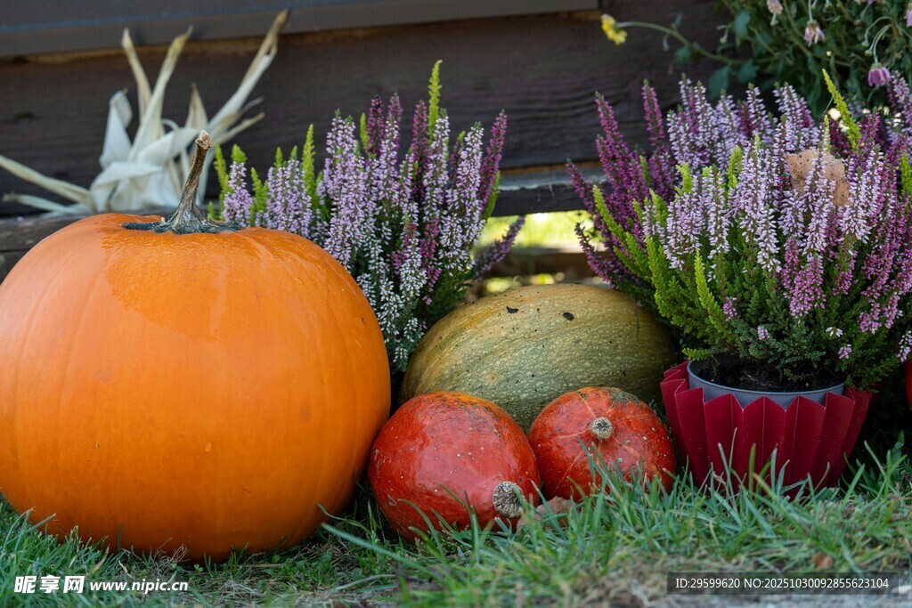 秋日田园风蔬果花卉组合
