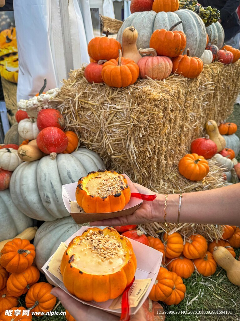 秋日南瓜场景与雕刻活动