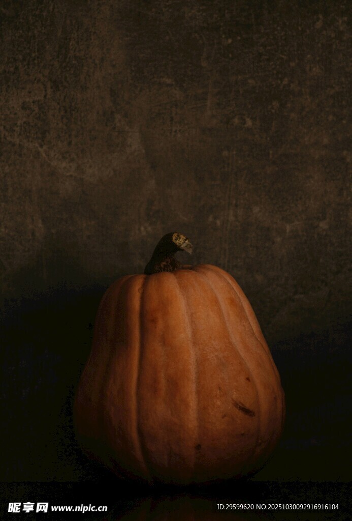 暗色背景下的单个南瓜