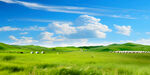 广袤草原蓝天白云美景