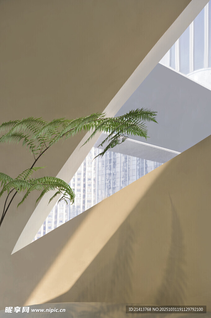 室内绿植与光影建筑景观